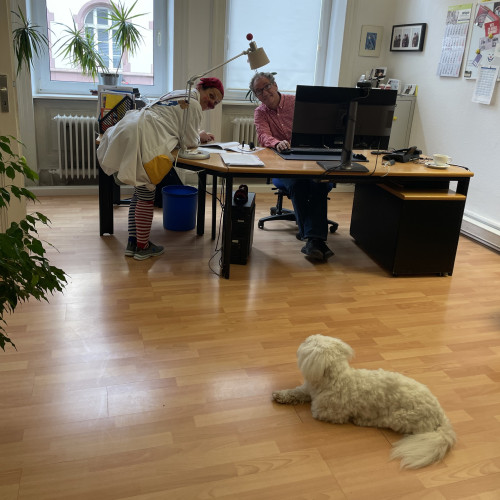 Mitarbeiter*in Finanz- und Büroorganisation (m/w/d) 02