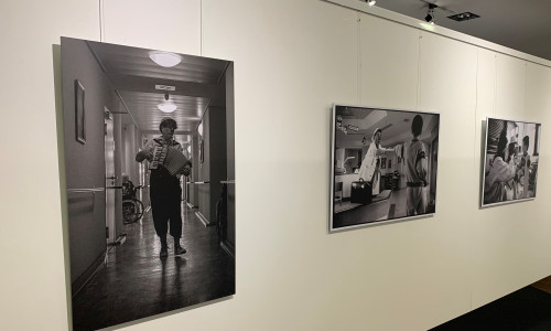 „Lichtblicke“ – Humorvisiten in Bildern